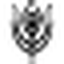 BORN PRETTY logo